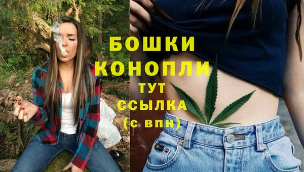 бутират Белокуриха
