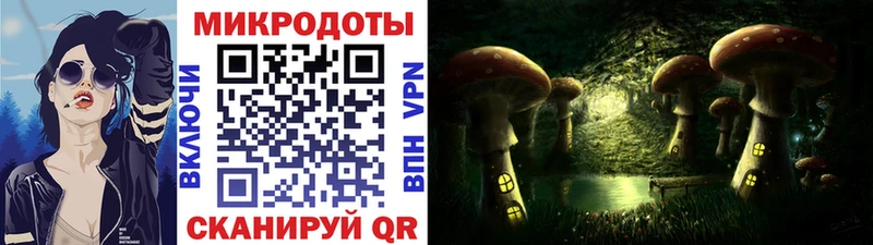 Псилоцибиновые грибы Psilocybine cubensis  ссылка на мегу ссылки  Выкса 